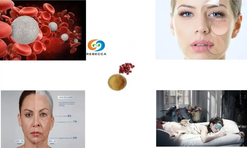 How Jujube Extract Improves Sleep Quality How Jujube Extract Improves Sleep Quality